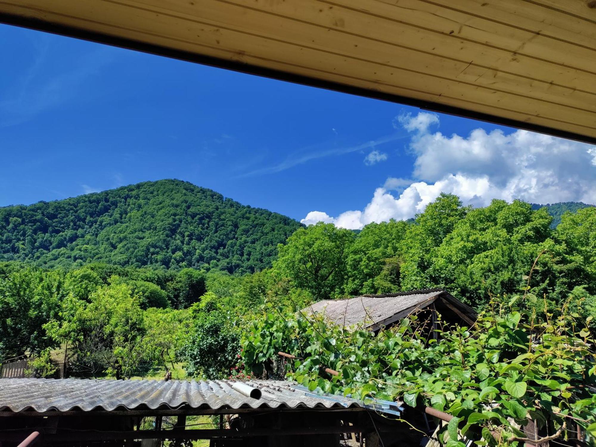 Jibghashvilebi'S House ラゴデヒ エクステリア 写真